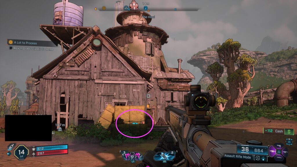 Echo Log at the Launchpad