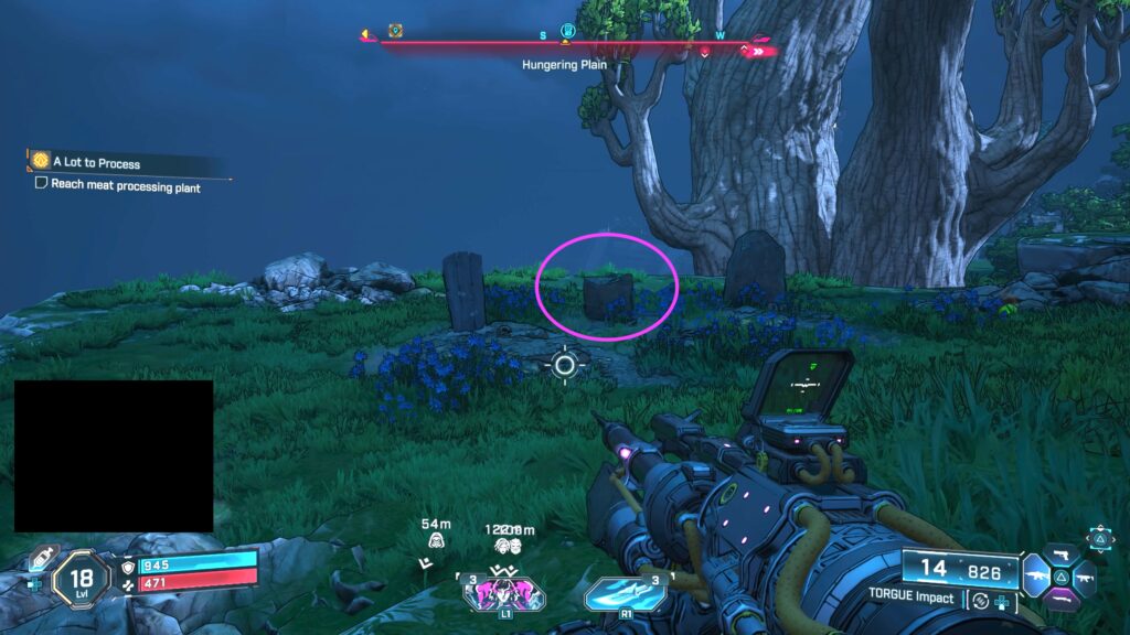 Hungering Plain Echo Log