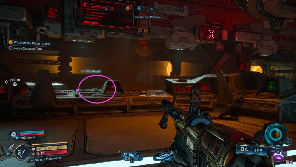 echo log in synthetic nave