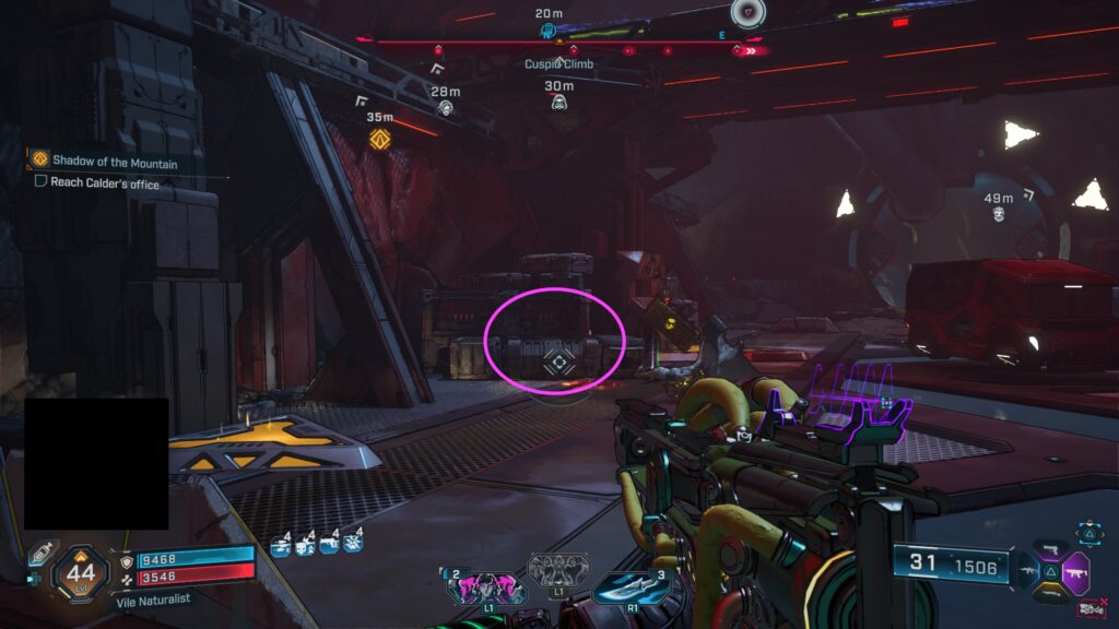 Cuspid Climb ECHO Logs