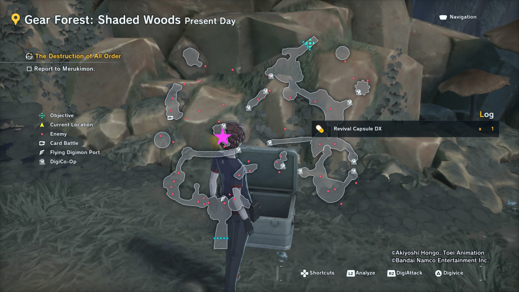Gear Forest Shaded Woods Present Day