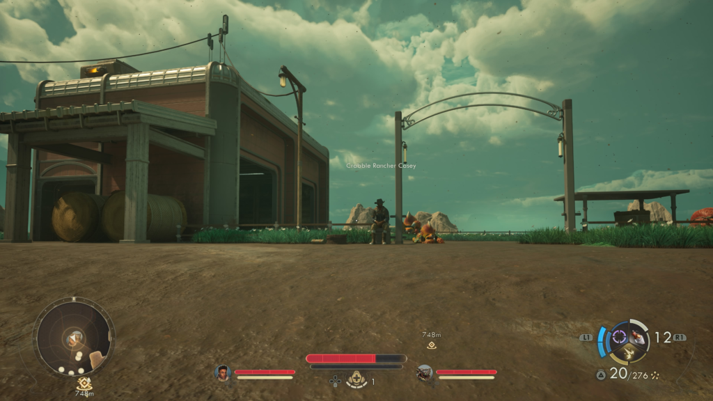 Adopt Lucy the Crabble