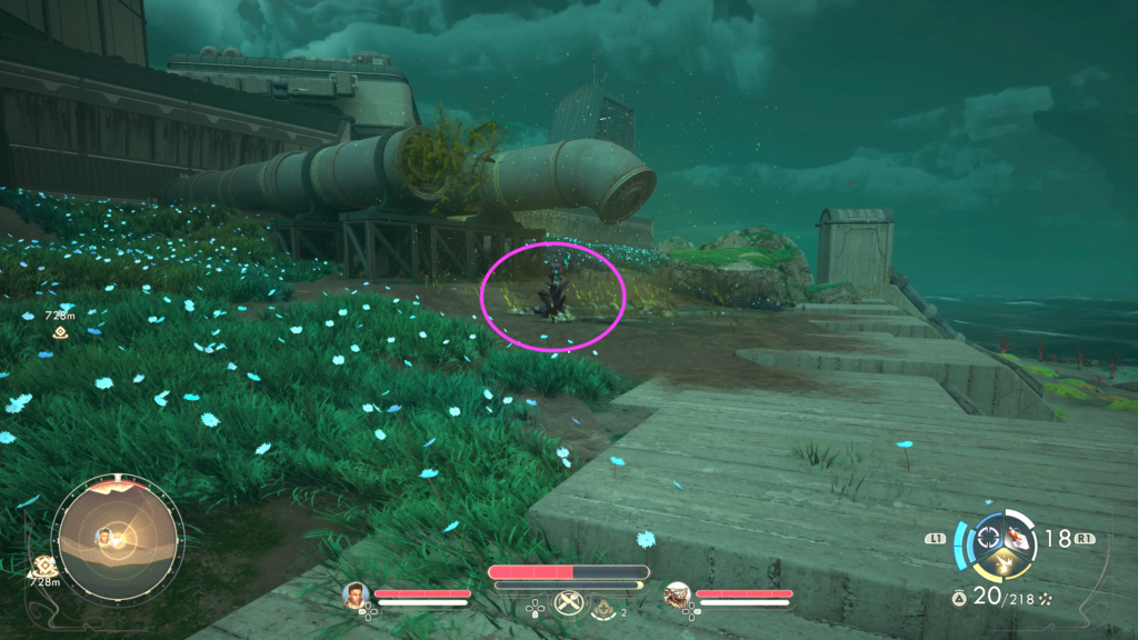 Collect Heartless Laphoria from Southeastern Location (Euphoria Coast Automech Repair Center)