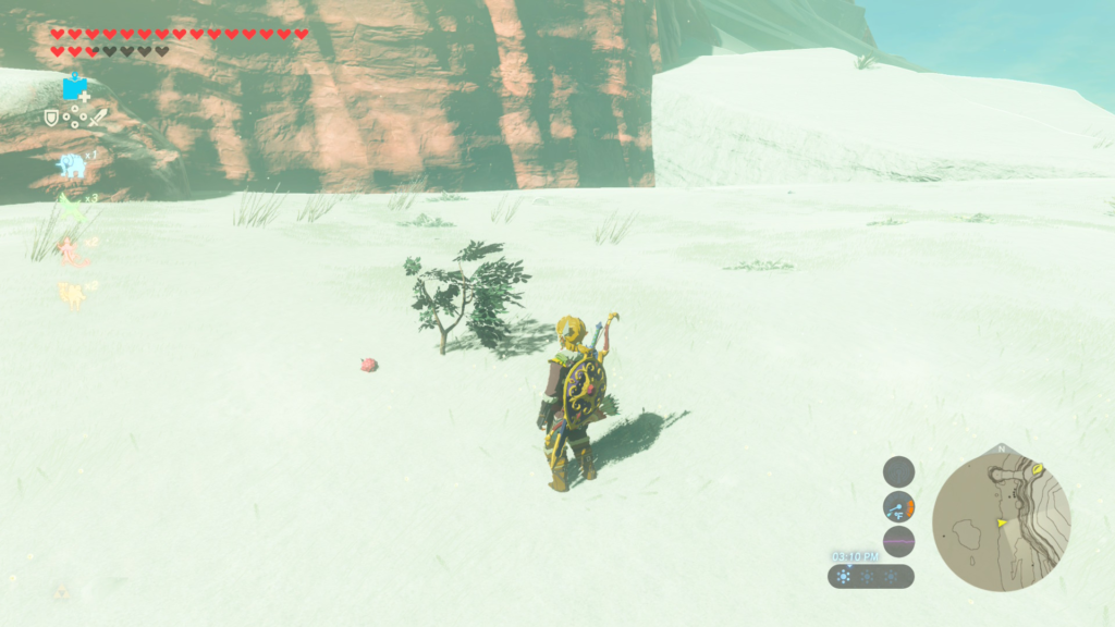 Obtain 10 Wildberries