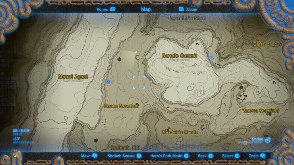 Obtain 10 Wildberries