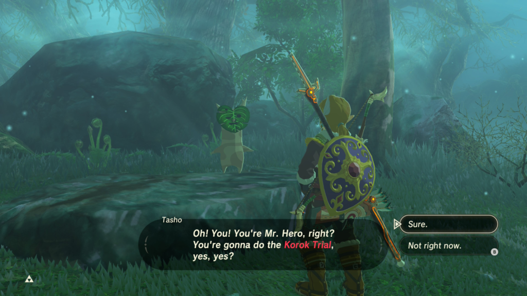 Tasho covering the details of the trial