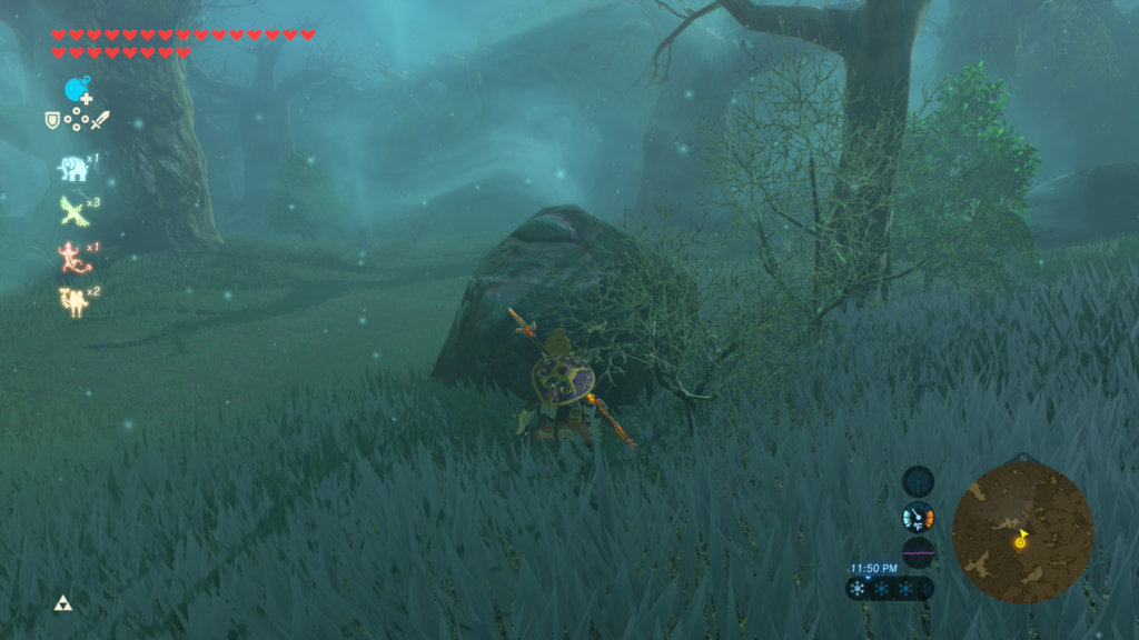 Following Okai during the Lost Pilgrimage Shrine Quest in Breath of the Wild