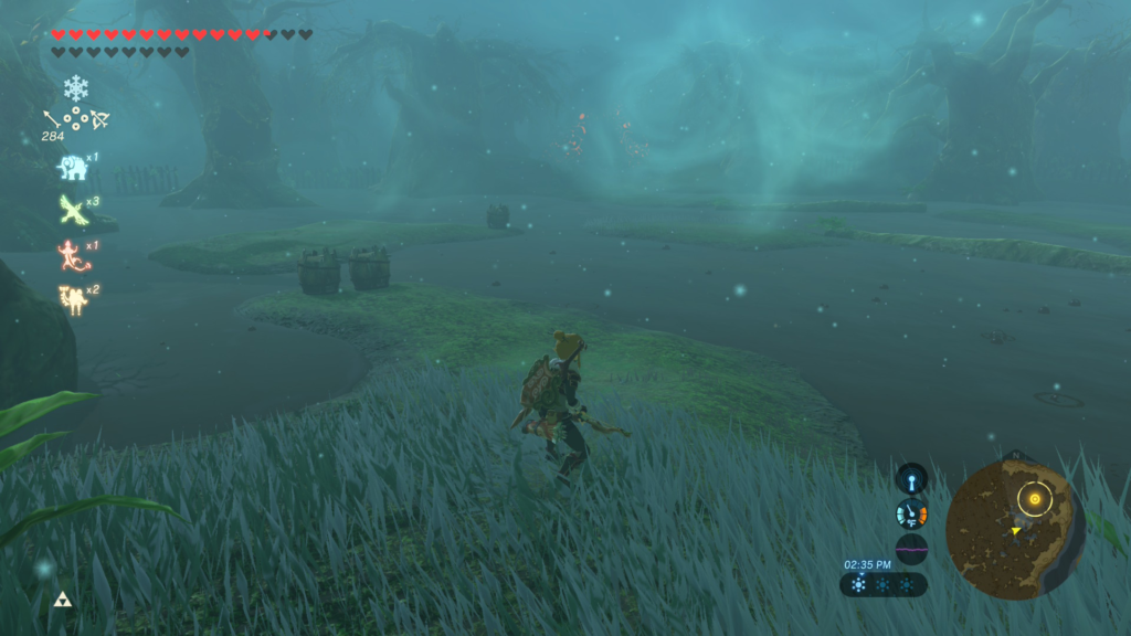 the final hazard area of the Test of Wood Shrine Quest in Breath of the Wild