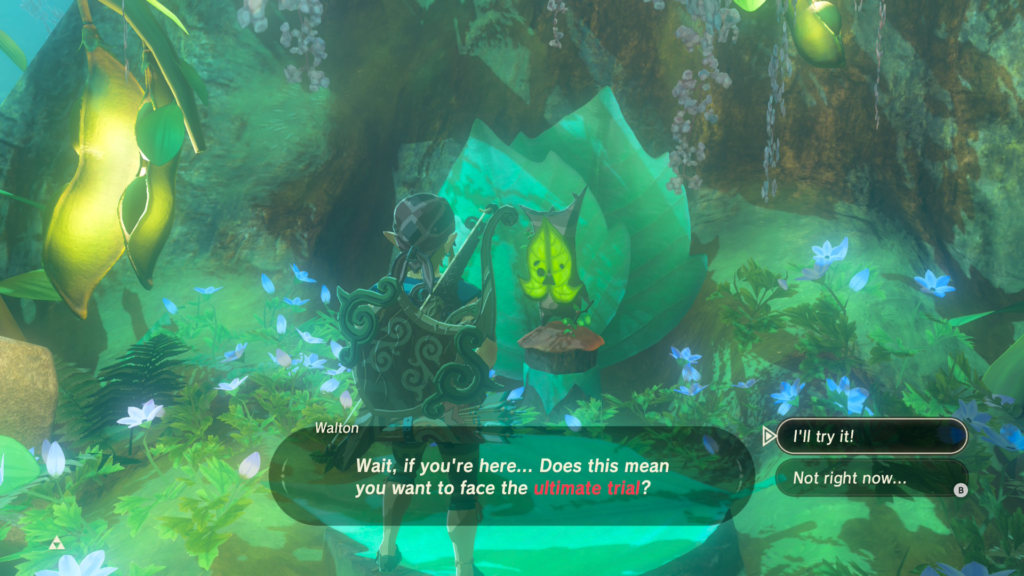 Walton giving Link the ultimate trial