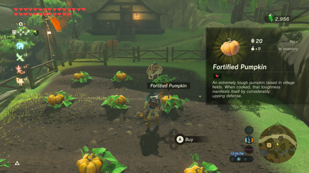 buying some fortified pumpkins