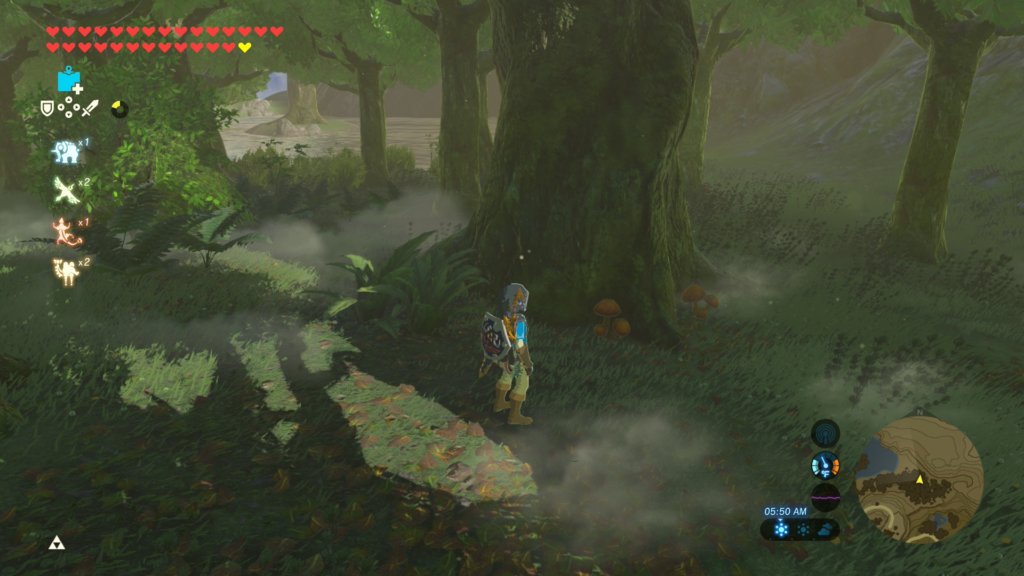 sunshroom growing under a tree