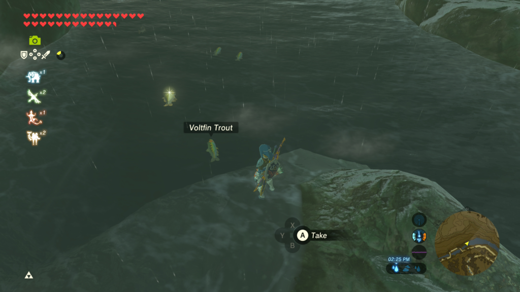 Voltfin trout going with the flow