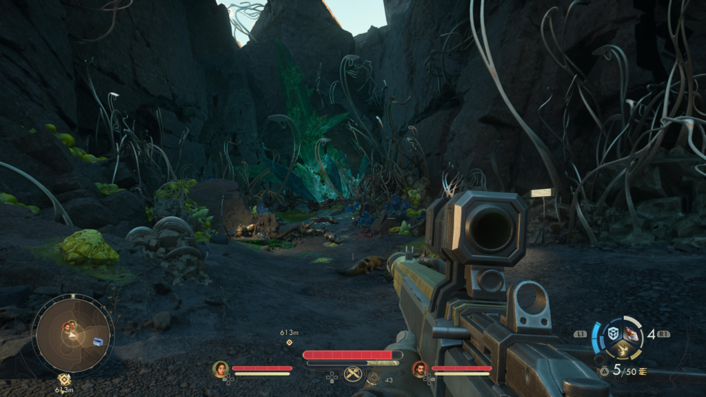 where to find the pupa