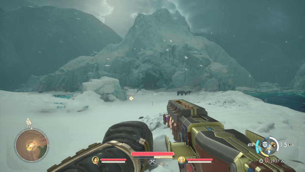 Find the Grafting Doctor