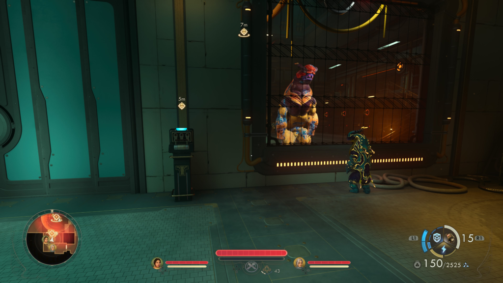 mom and cub looking at each other through the glass window