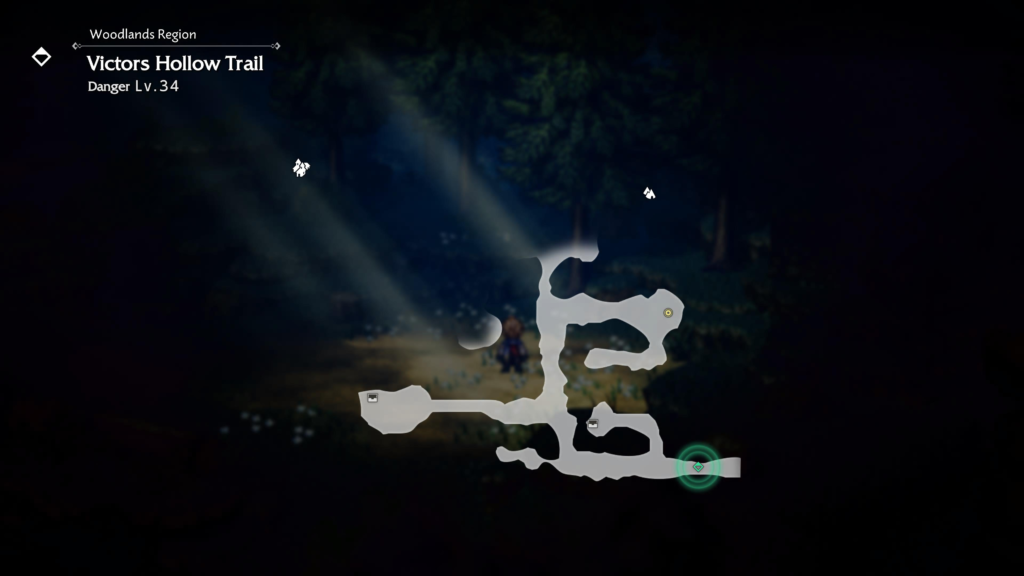 Bouquet of Hollowlilies at Victors Hollow Trail