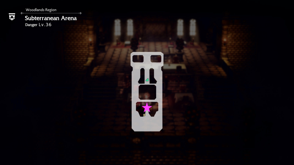 Subterranean Arena Octopath Traveler 0
