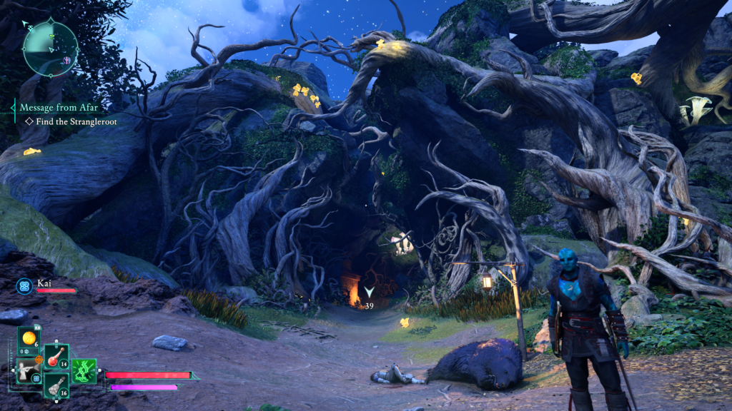 enter the narrow path through the trees